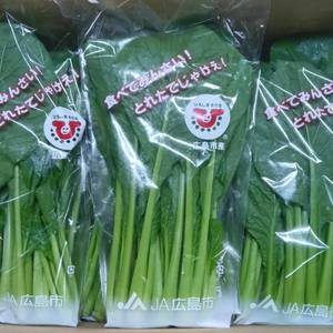 広島県産　小松菜の画像