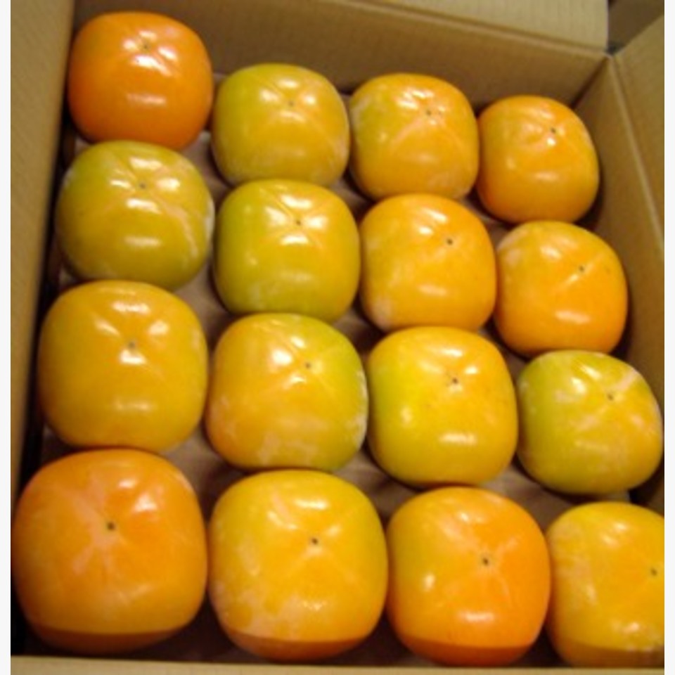 刀根早生柿 旬の果物 旬の野菜 果物 野菜と果物を広島の市場より食卓へ 広印広島青果株式会社