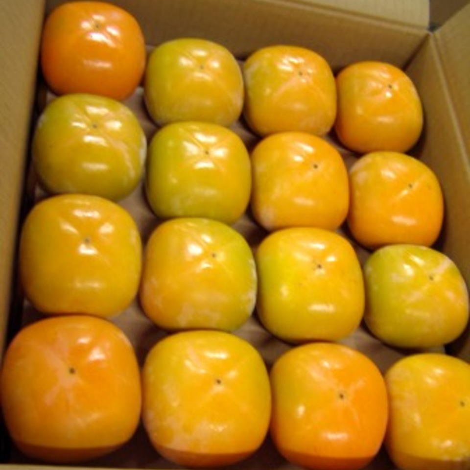 刀根早生柿の画像