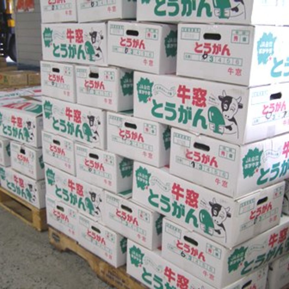 冬瓜の画像