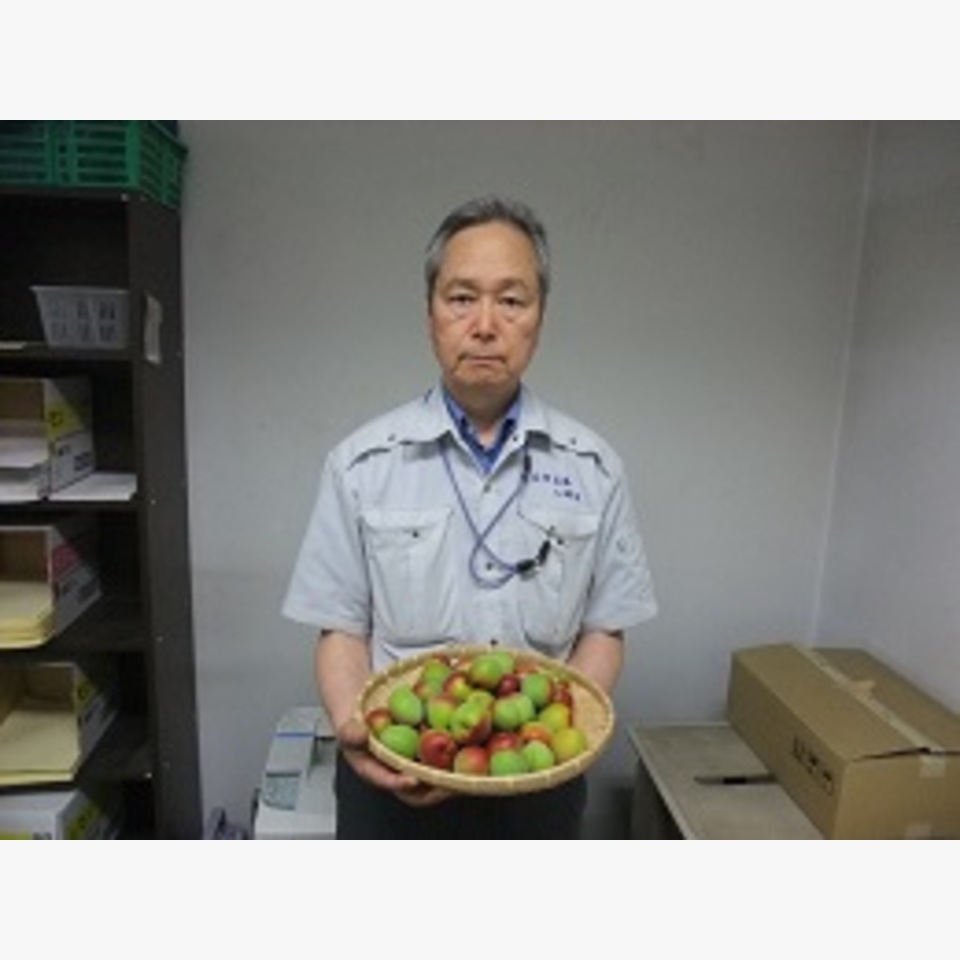 ひとことの画像