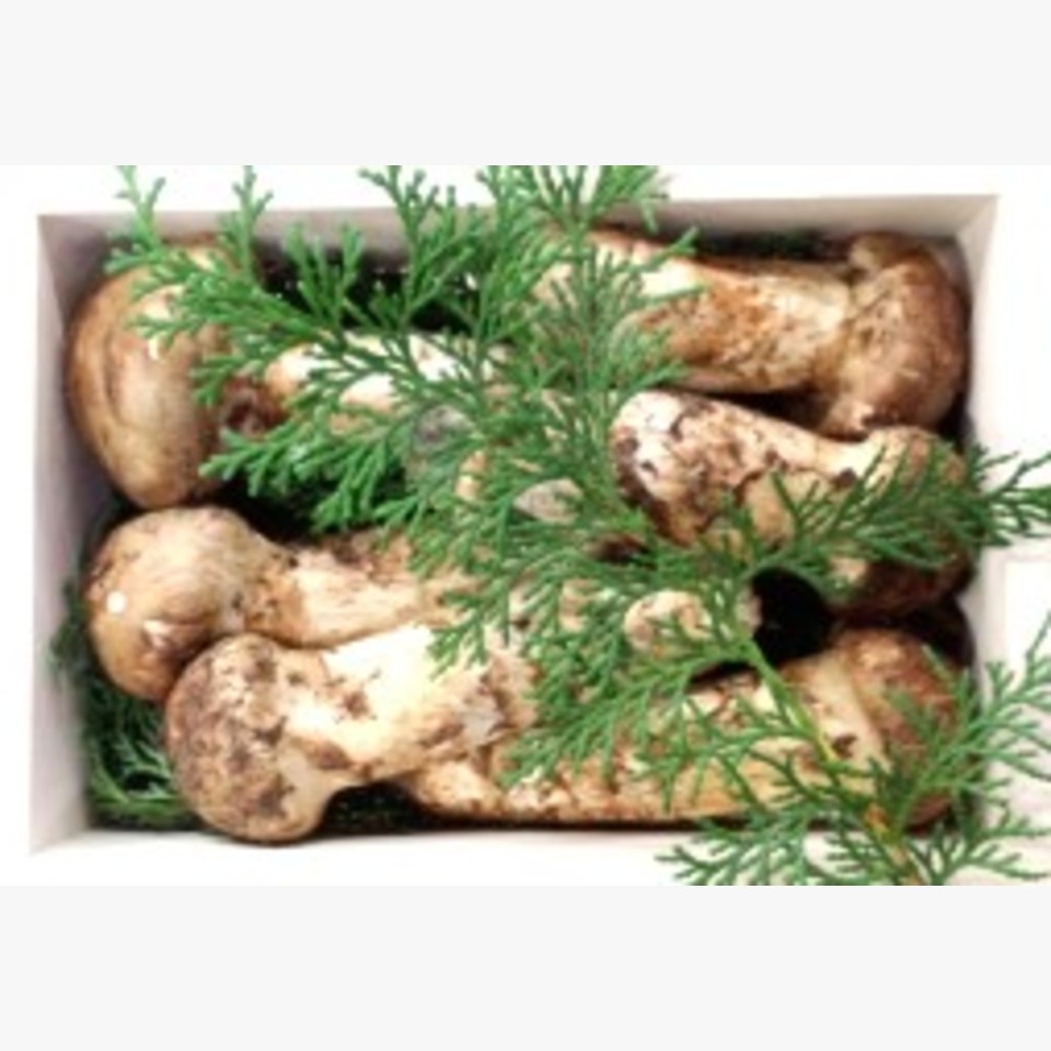 ひとことの画像