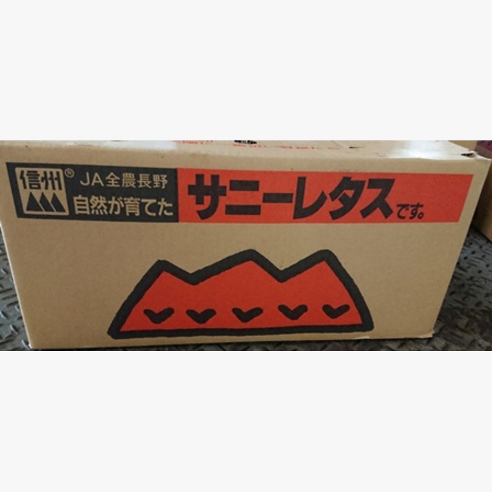 長野のサニーレタス | 旬の野菜 | 旬の野菜・果物 | 野菜と果物を広島