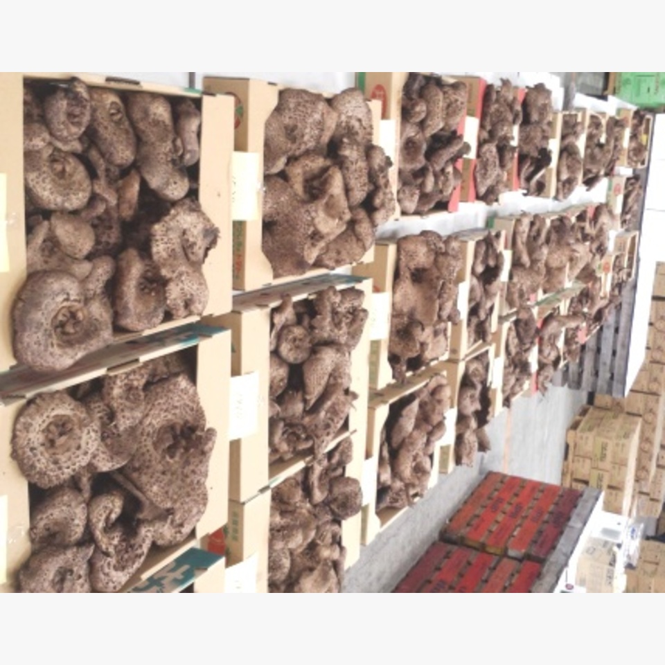 香茸 旬の野菜 旬の野菜 果物 野菜と果物を広島の市場より食卓へ 広印広島青果株式会社