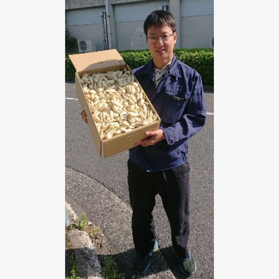 ひとことの画像
