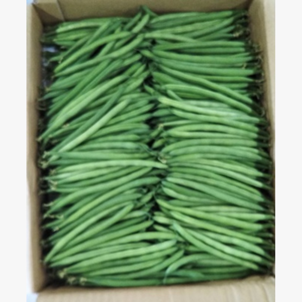 北海道のインゲン | 旬の野菜 | 旬の野菜・果物 | 野菜と果物を広島の