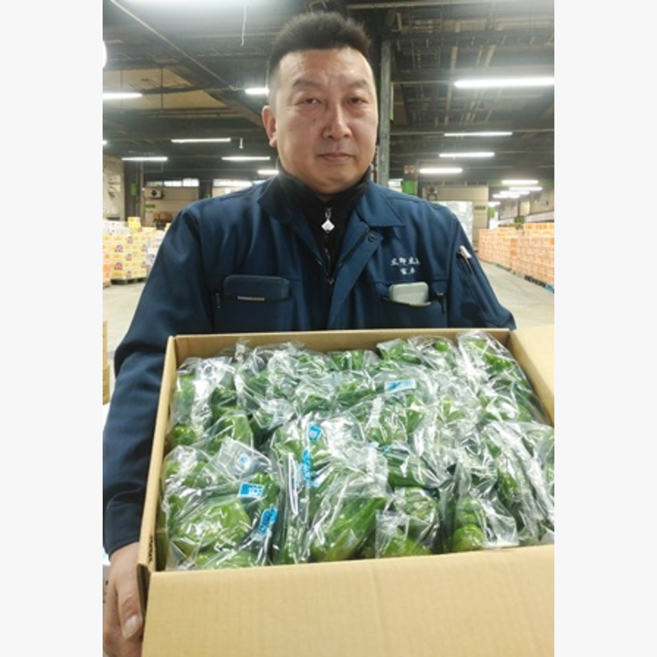 西都産ピーマン 10kg（規格外） - 宮崎県産のピーマンならアグリ