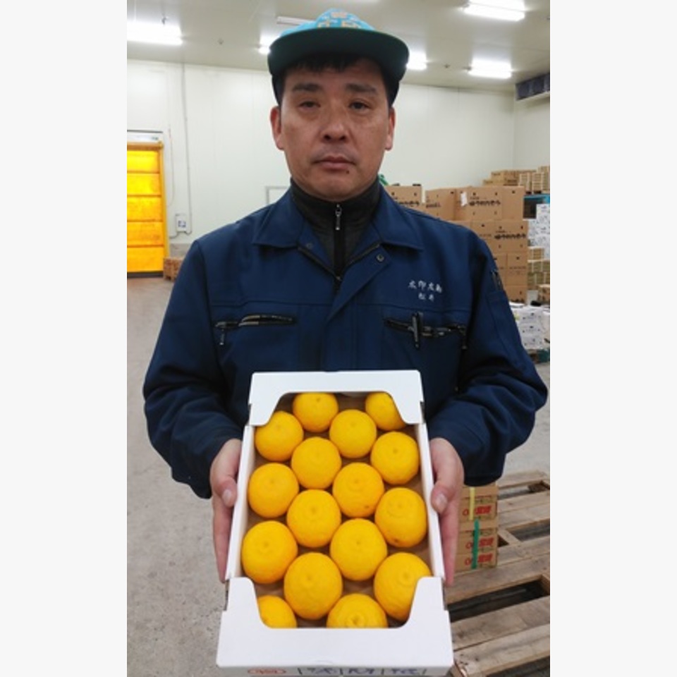 ひとことの画像