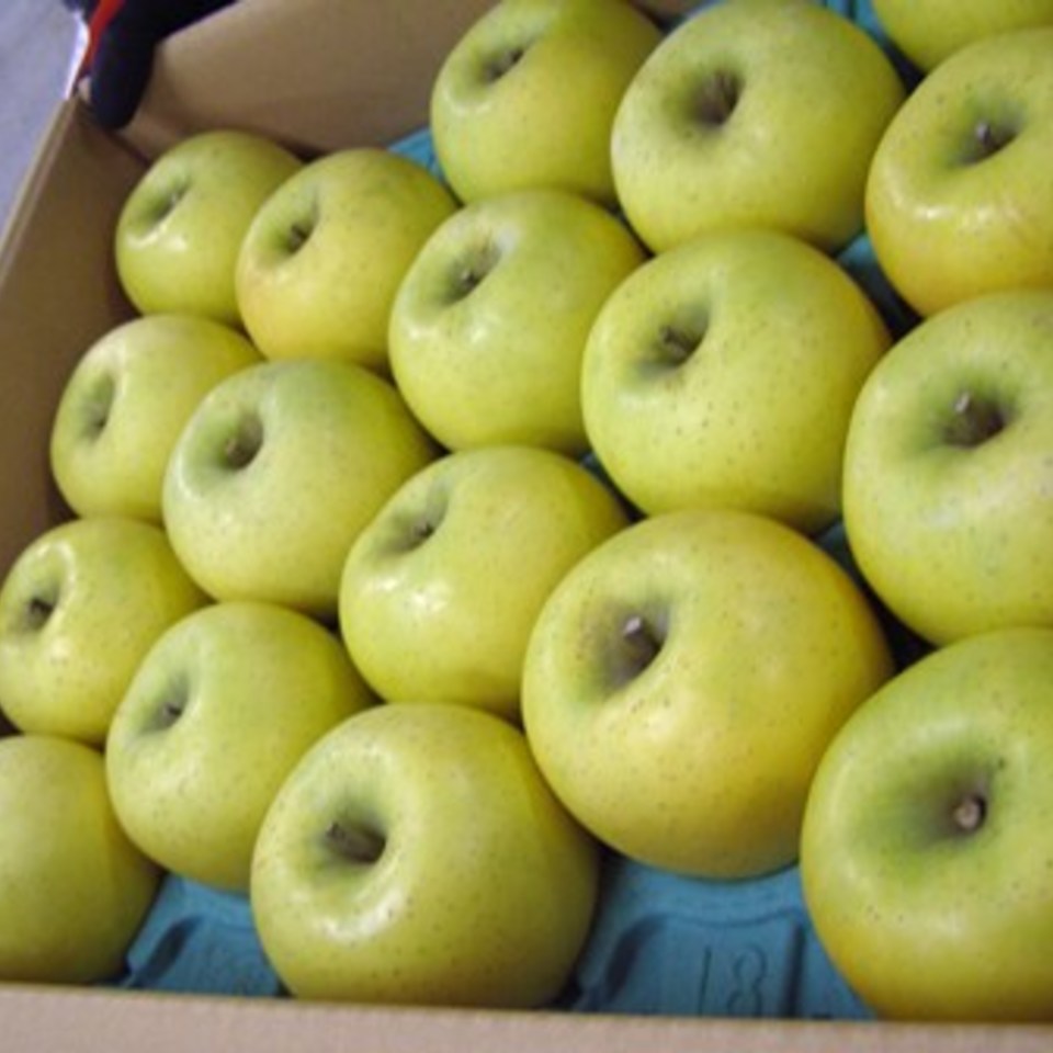 シナノ三兄弟＊シナノゴールドの画像