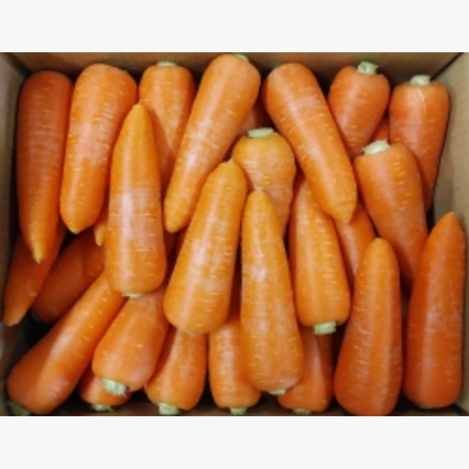 徳島県産 人参 | 旬の野菜 | 旬の野菜・果物 | 野菜と果物を広島の市場