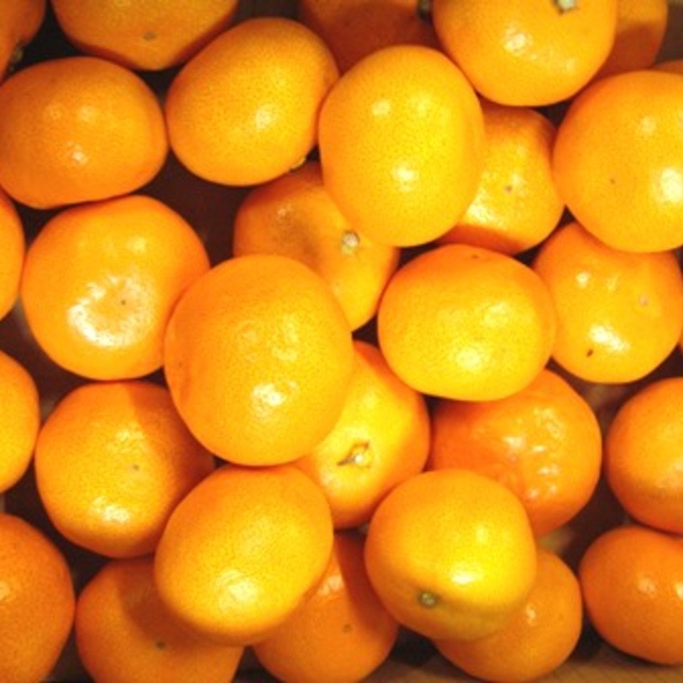 大長エースの画像