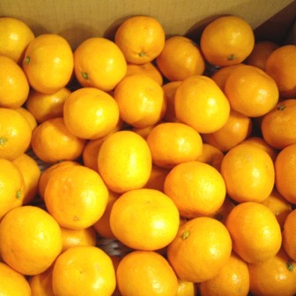 五つ星みかんの画像