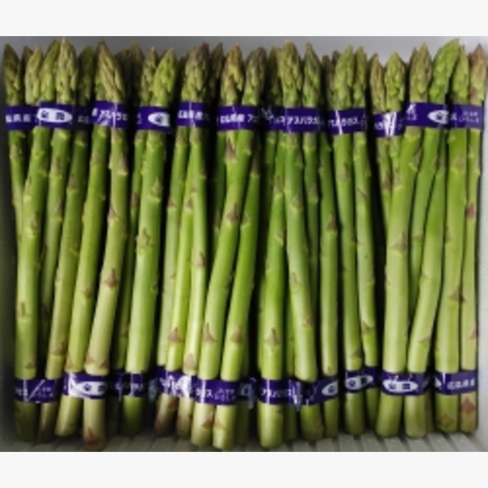 三次産 アスパラガス | 旬の野菜 | 旬の野菜・果物 | 野菜と果物を広島