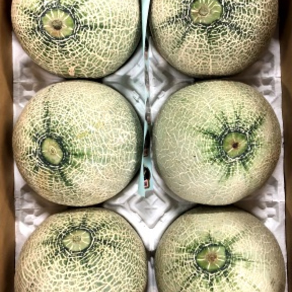 アンデスメロンの画像