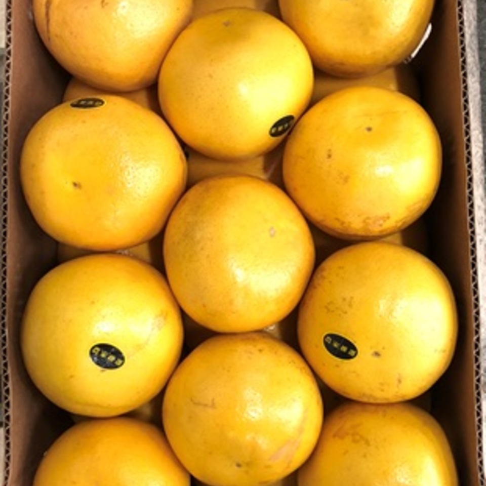 グレープフルーツの画像