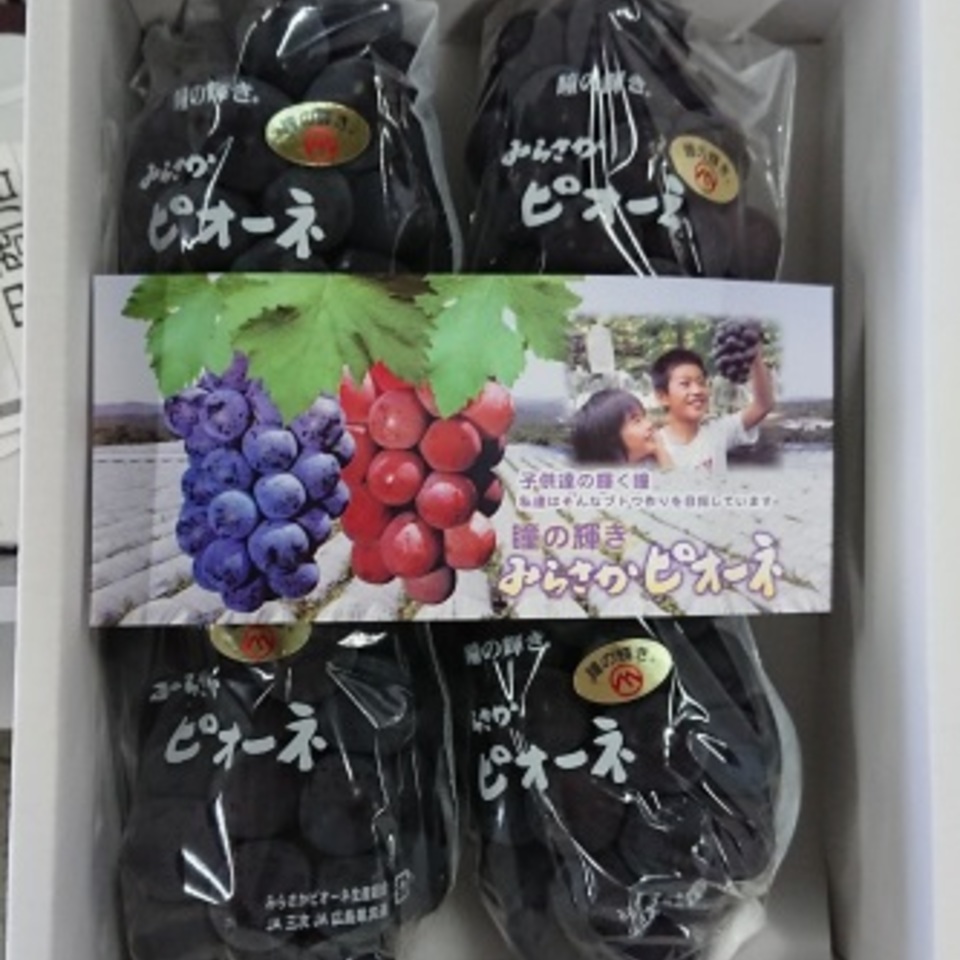 三良坂ピオーネの画像