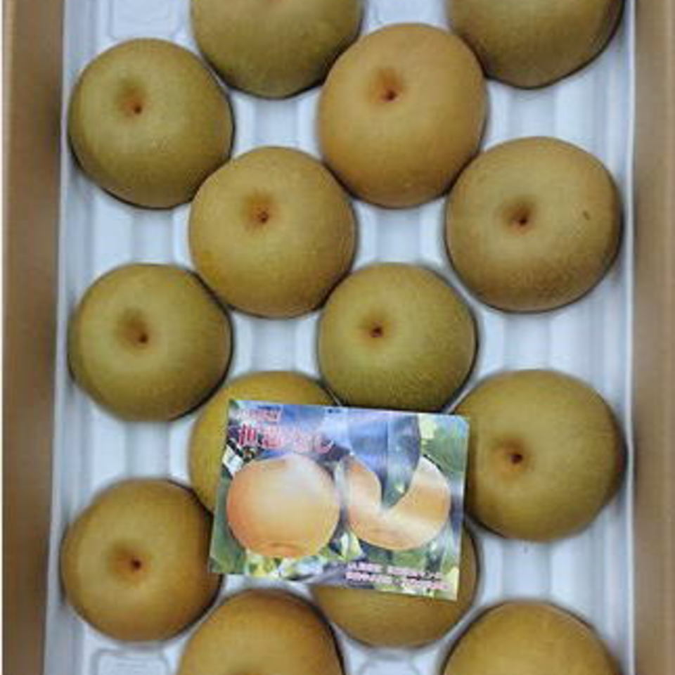 世羅の幸水梨の画像