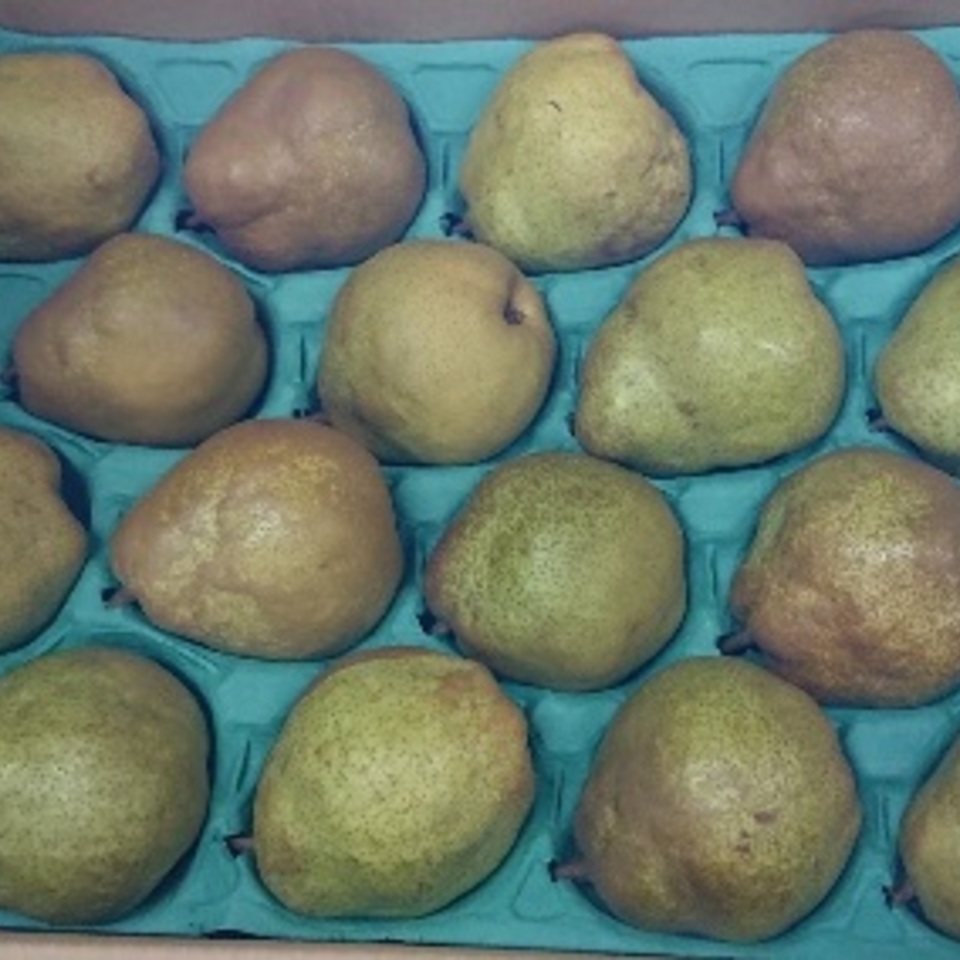 ラ・フランスの画像