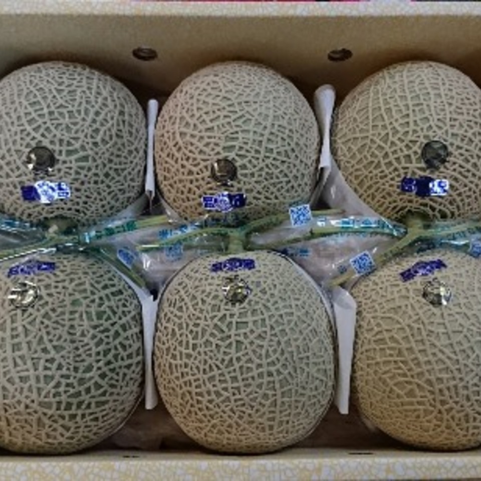 高知のメロンの画像