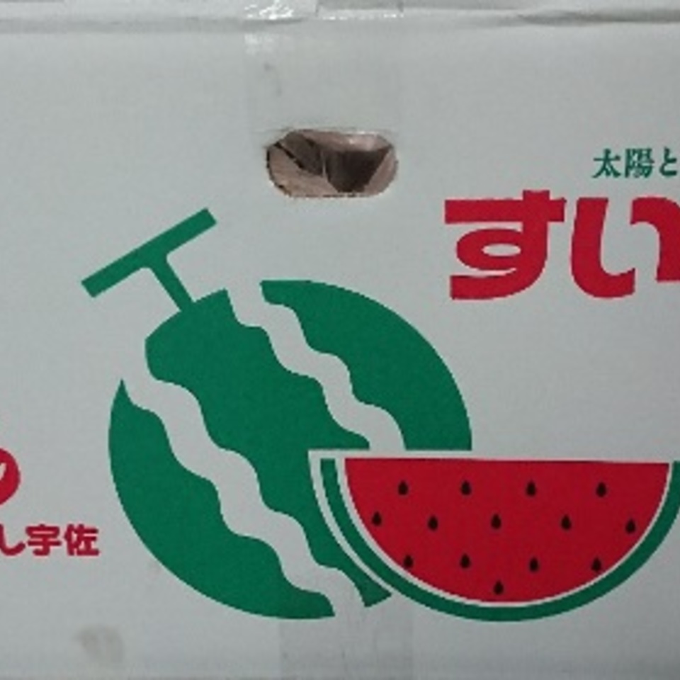 高知のスイカの画像