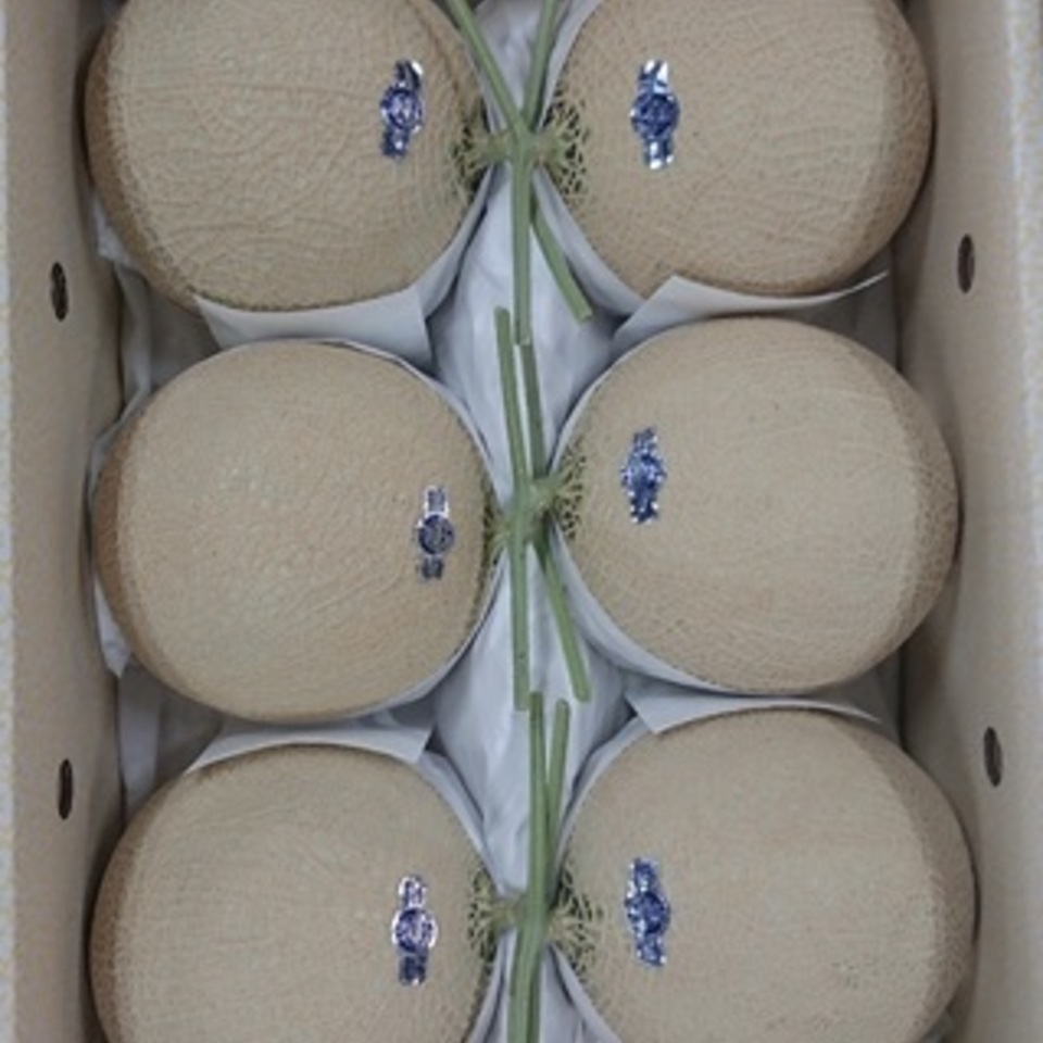 クラウンメロンの画像