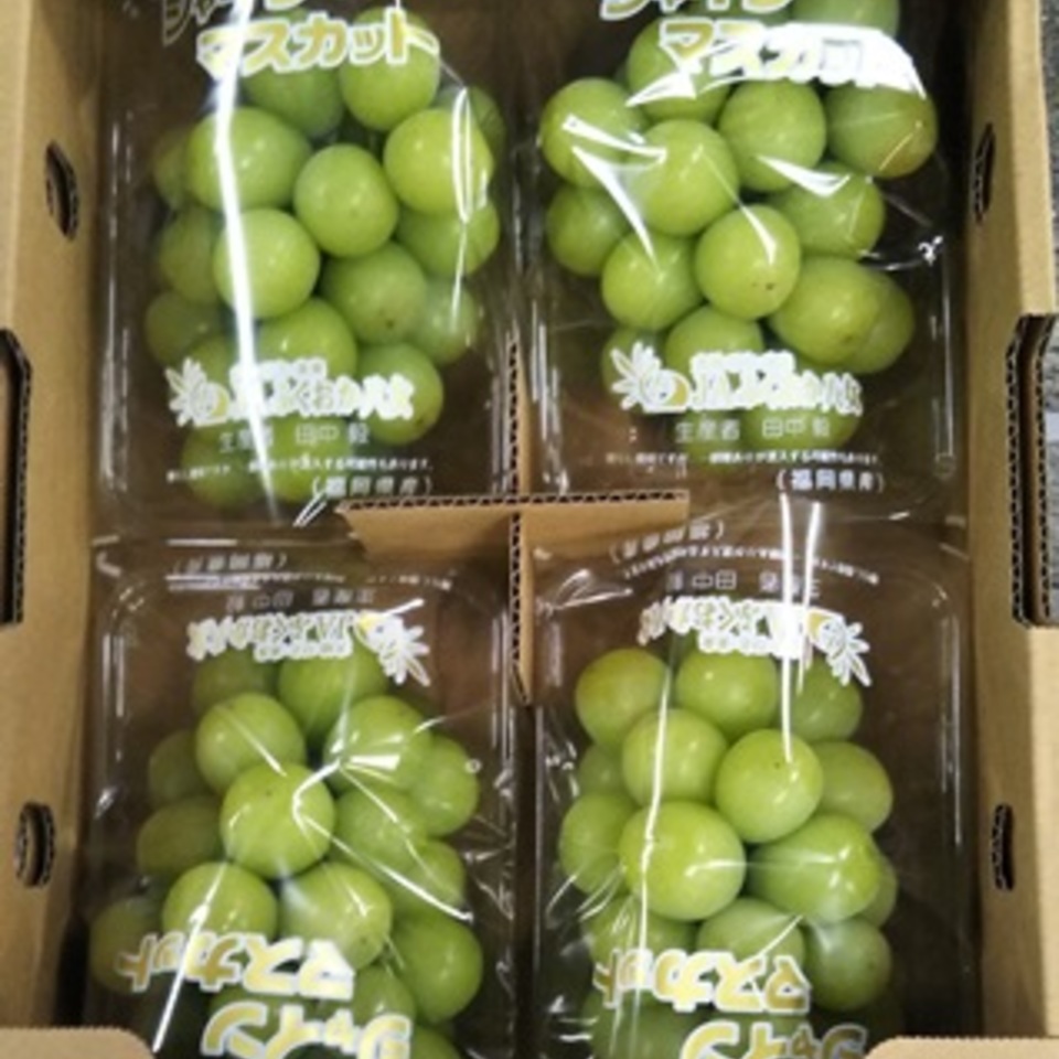 シャインマスカットの画像