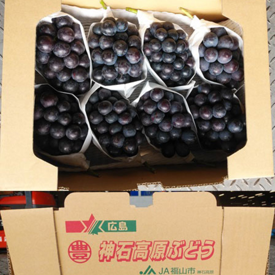 神石高原　ピオーネの画像