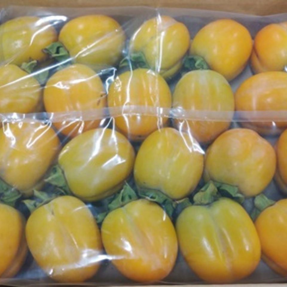 鳥取県産　西条柿の画像