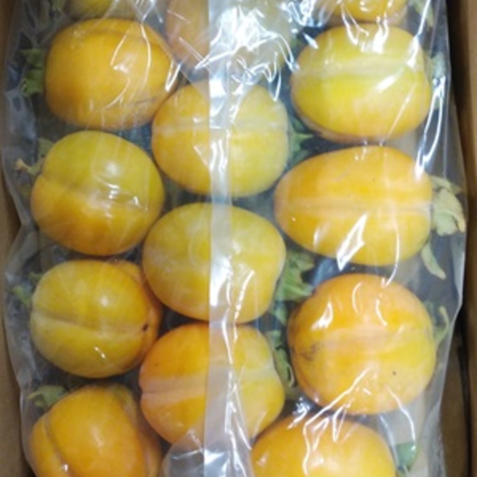 島根県産　西条柿の画像