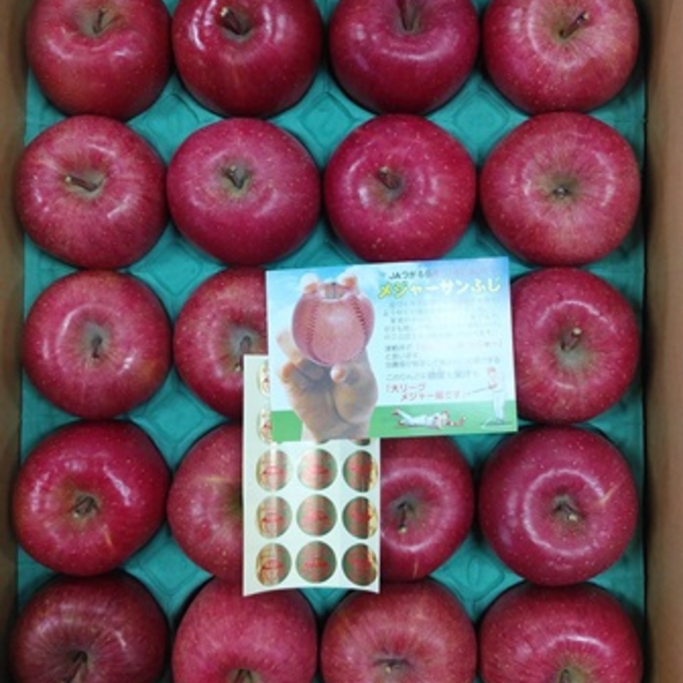 青森県産　メジャーサンふじの画像