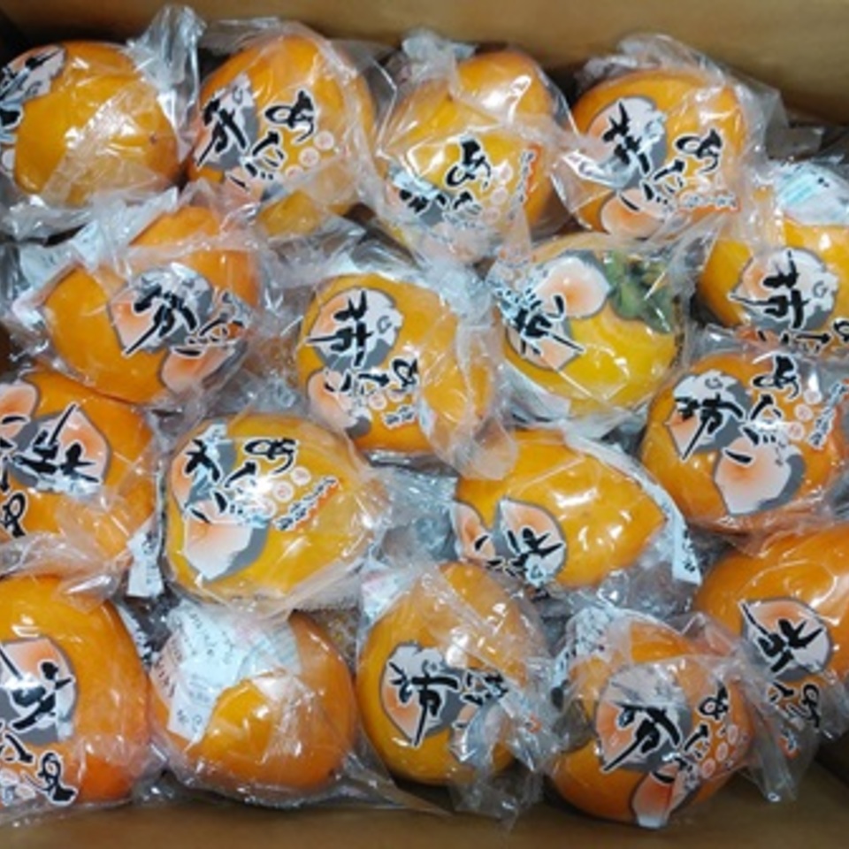 愛媛県産　愛宕柿の画像