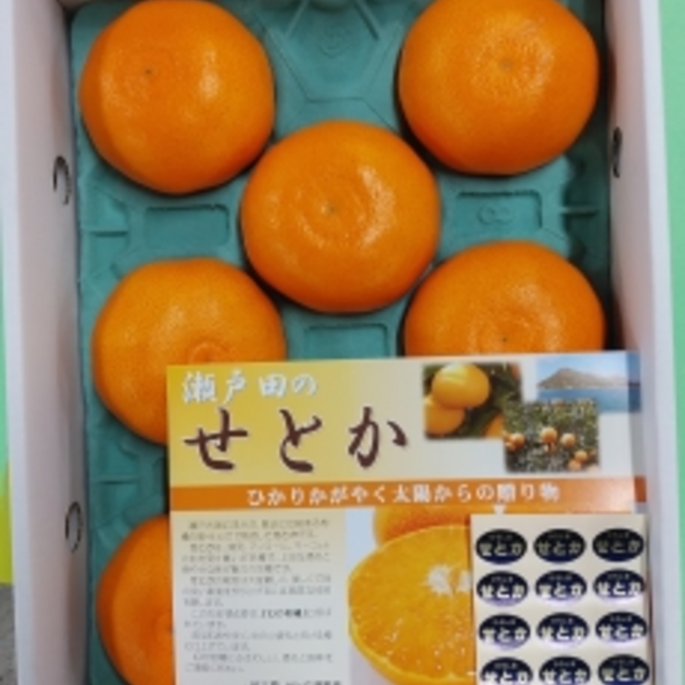 広島県産　せとかの画像