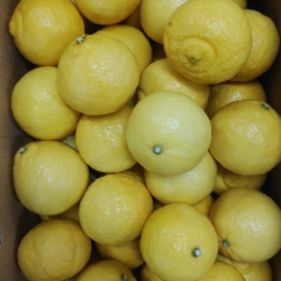 広島県産　はるかの画像