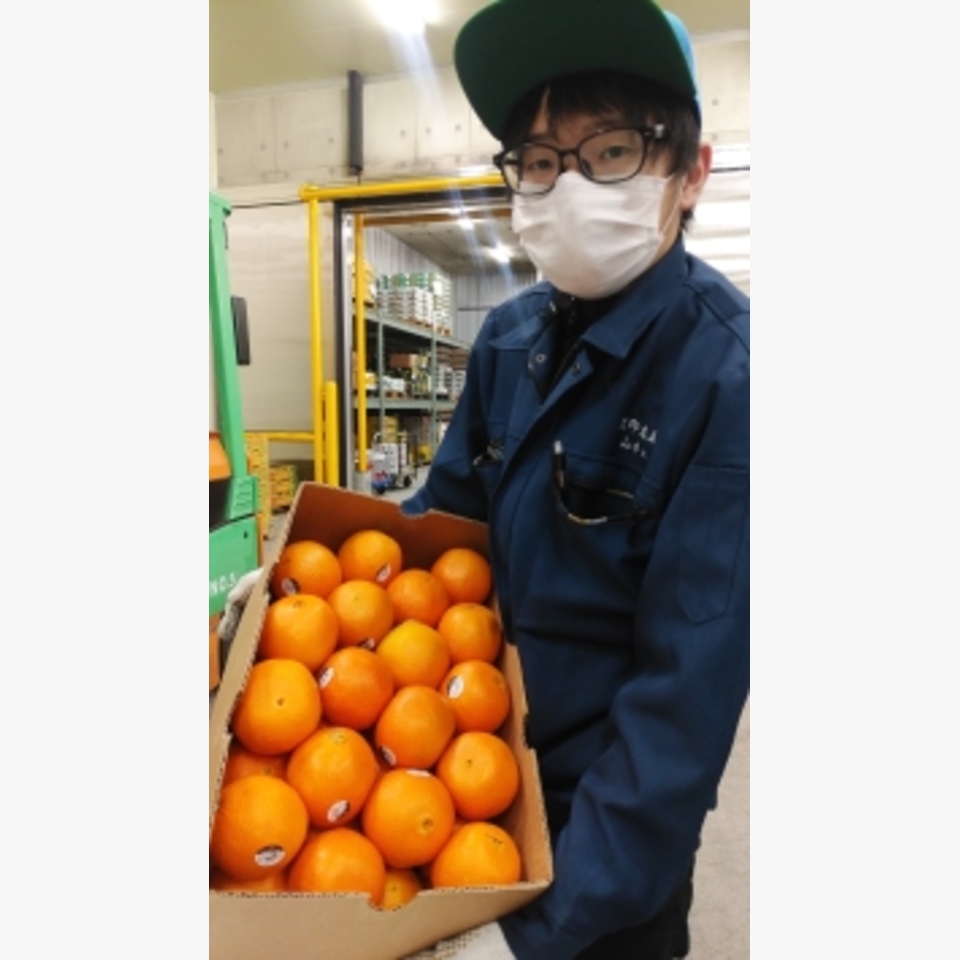 輸入 ネーブル オレンジ 旬の果物 旬の野菜 果物 野菜と果物を広島の市場より食卓へ 広印広島青果株式会社