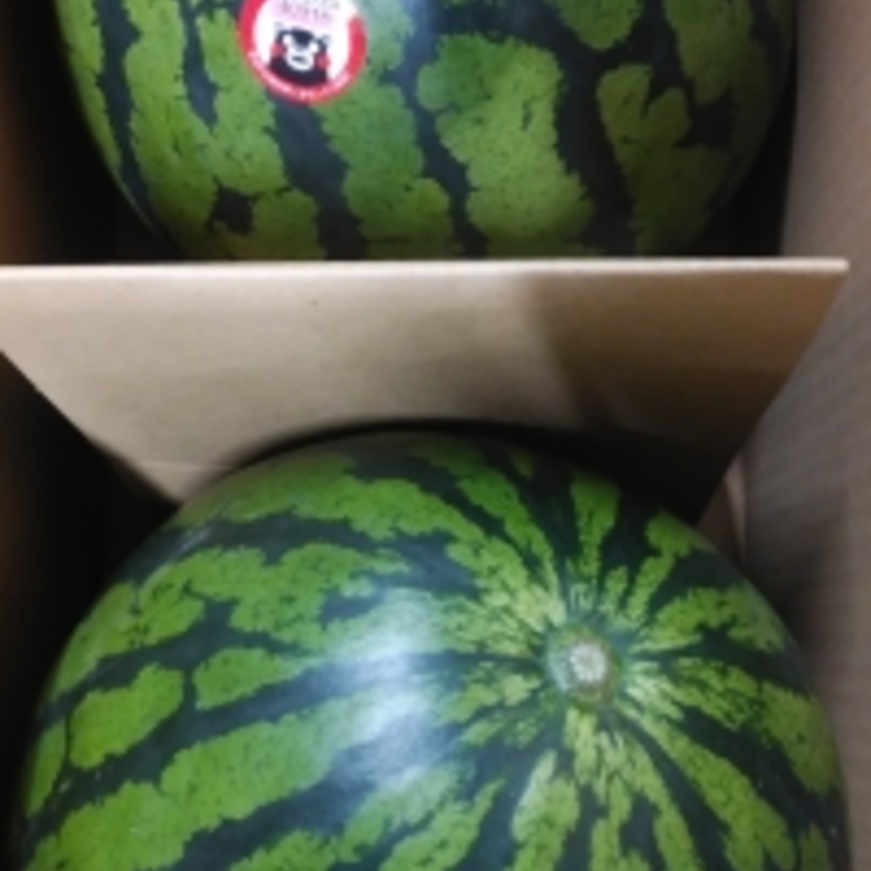 熊本県産　すいかの画像