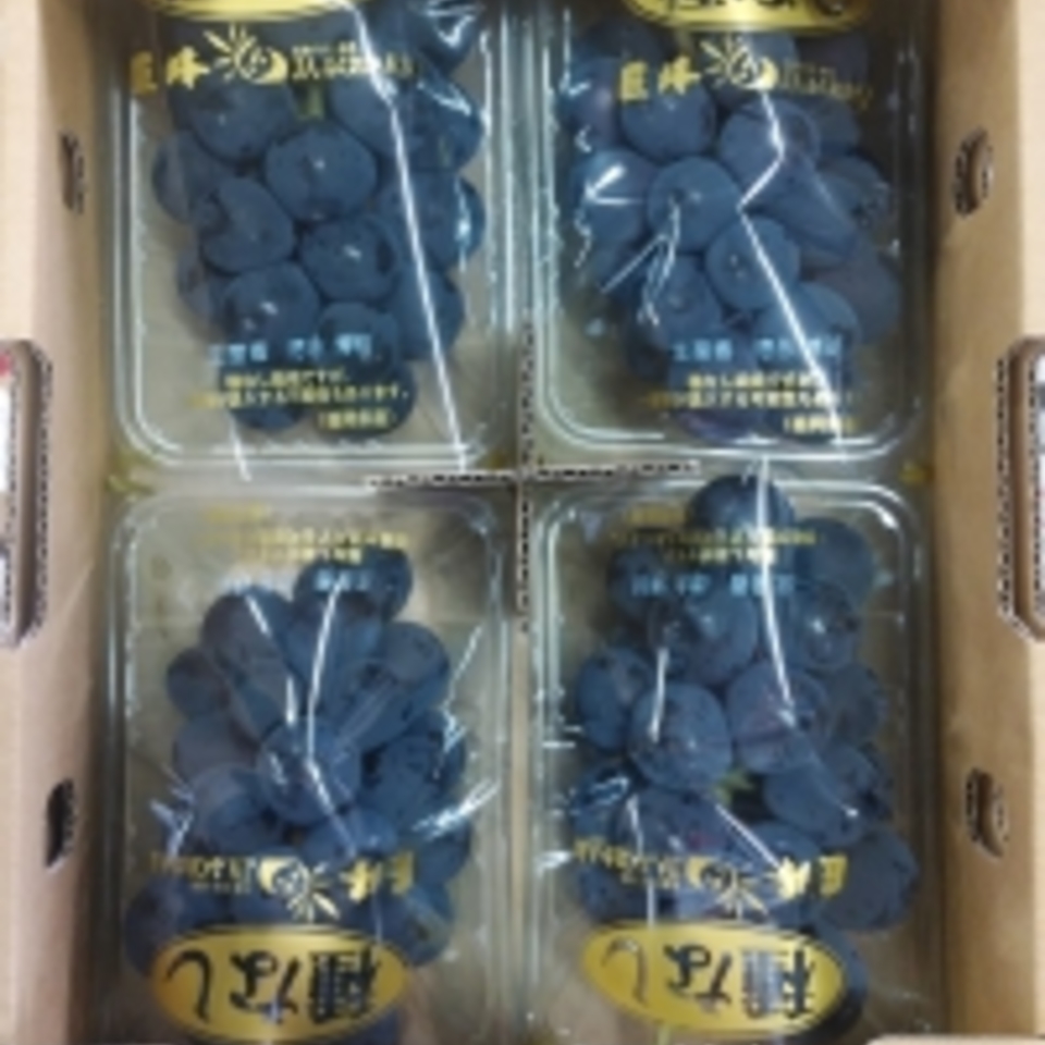 福岡県八女産　巨峰の画像