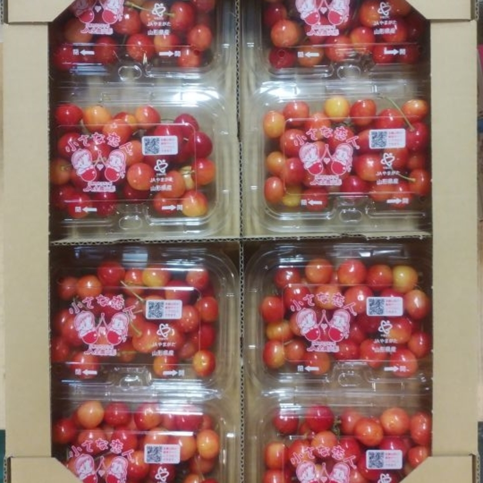 山形県産　さくらんぼの画像