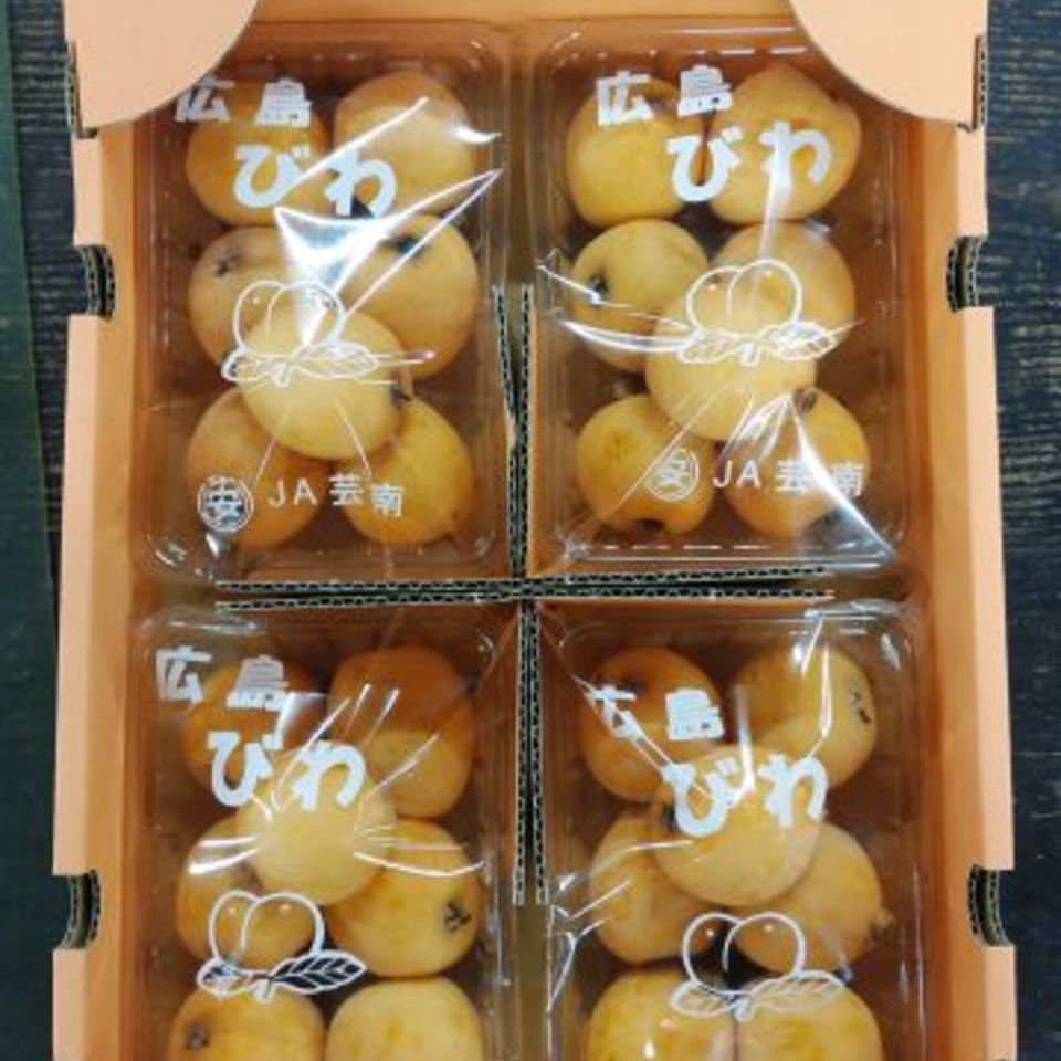 広島県産　びわの画像