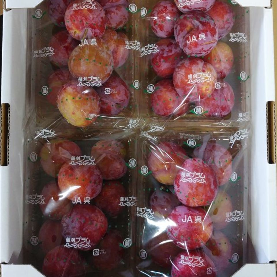 広島県呉市蒲刈町　サンタローザの画像