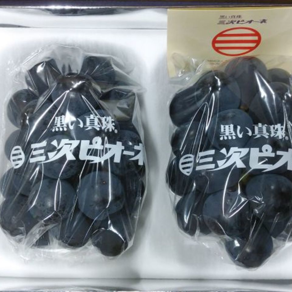 広島県三次市産　ピオーネ（ハウス栽培）の画像