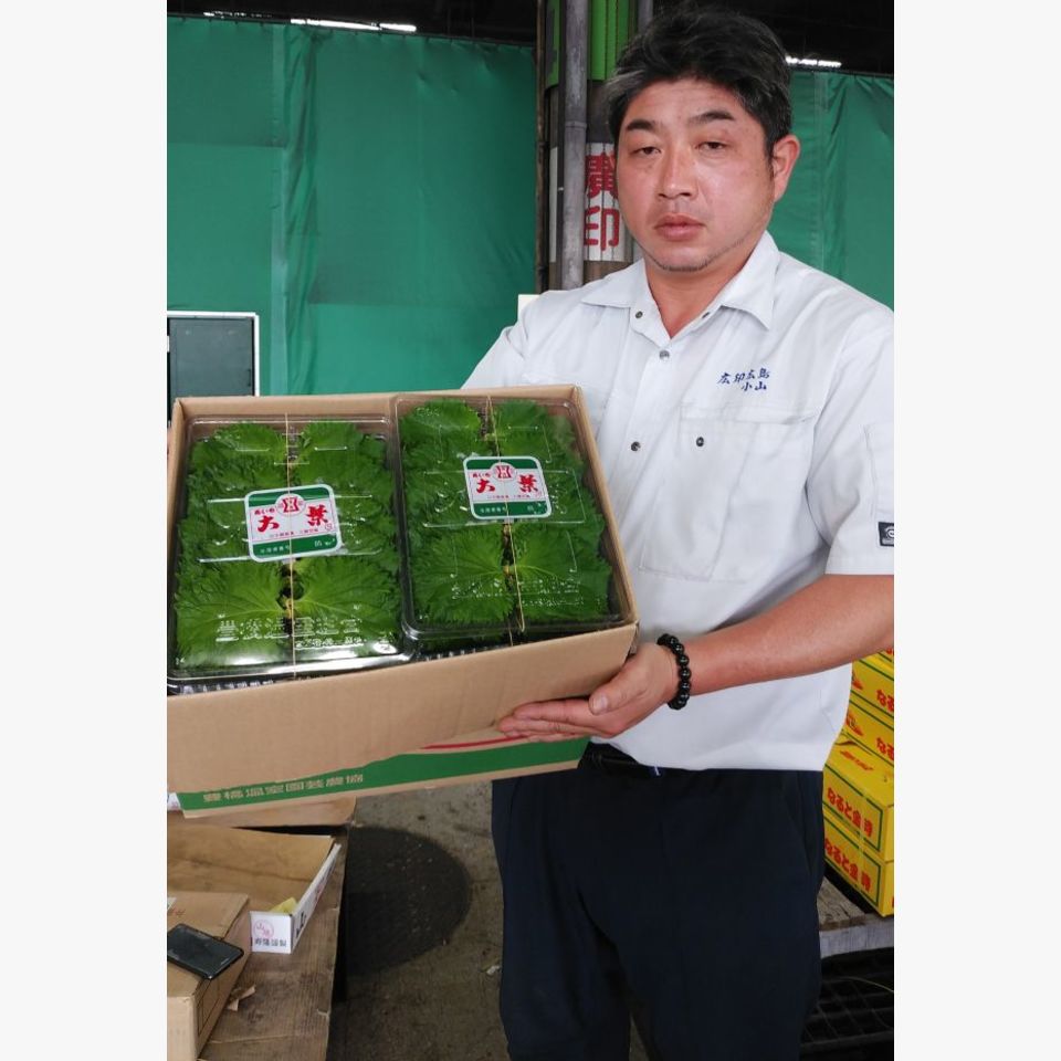 ひとことの画像