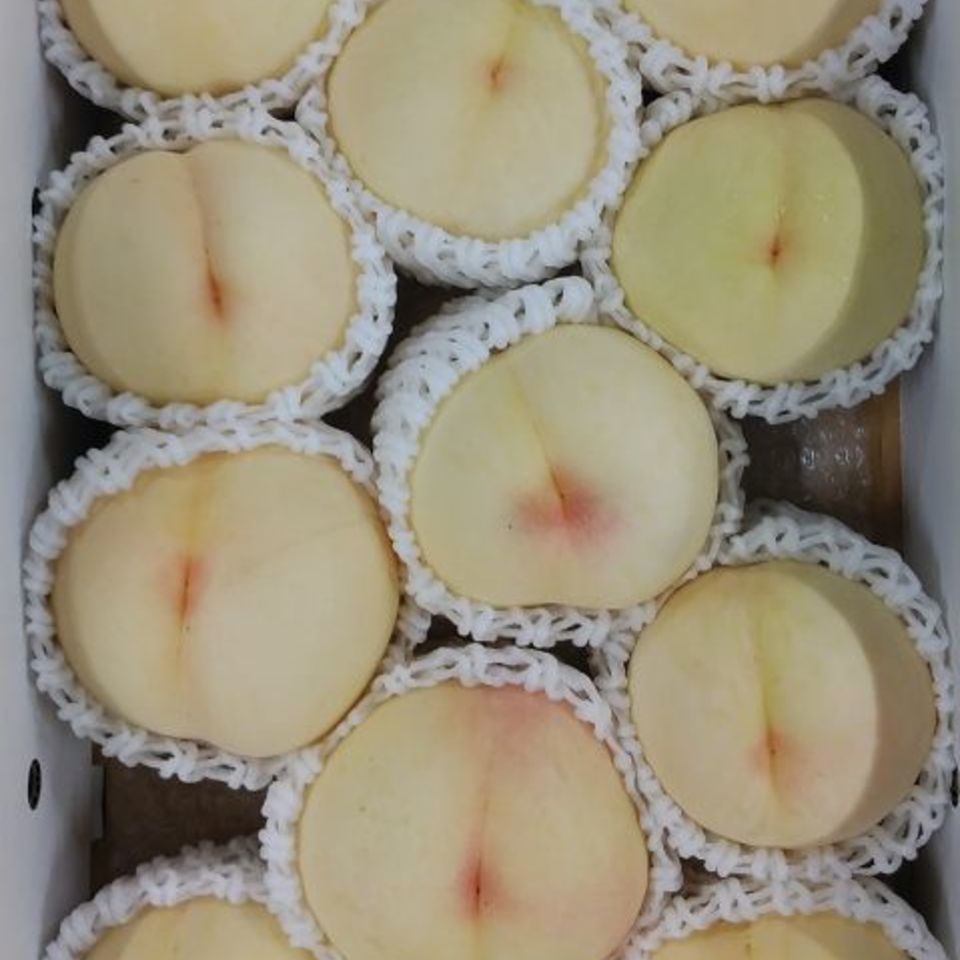 岡山県　おかやま夢白桃の画像