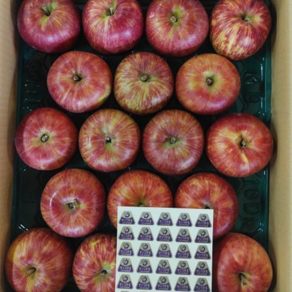 青森産　りんご「サンつがる」の画像