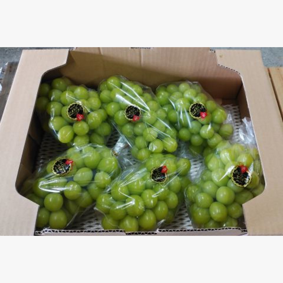島根県 シャインマスカット | 旬の果物 | 旬の野菜・果物 | 野菜と果物