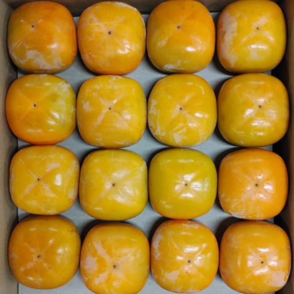 和歌山県産　平核無柿の画像