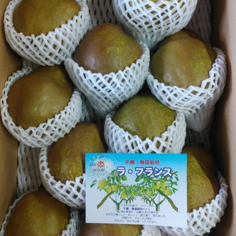 山形県産　ラ・フランスの画像