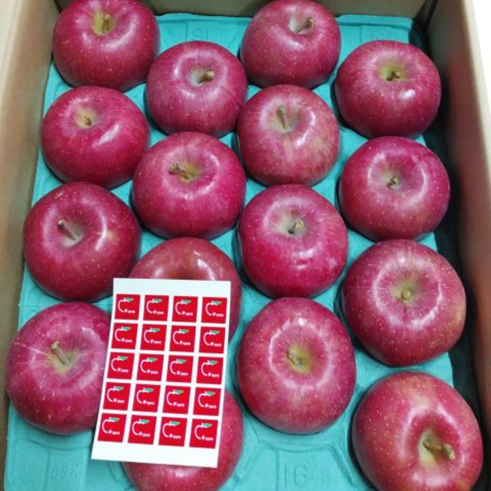 青森県産　早生ふじの画像