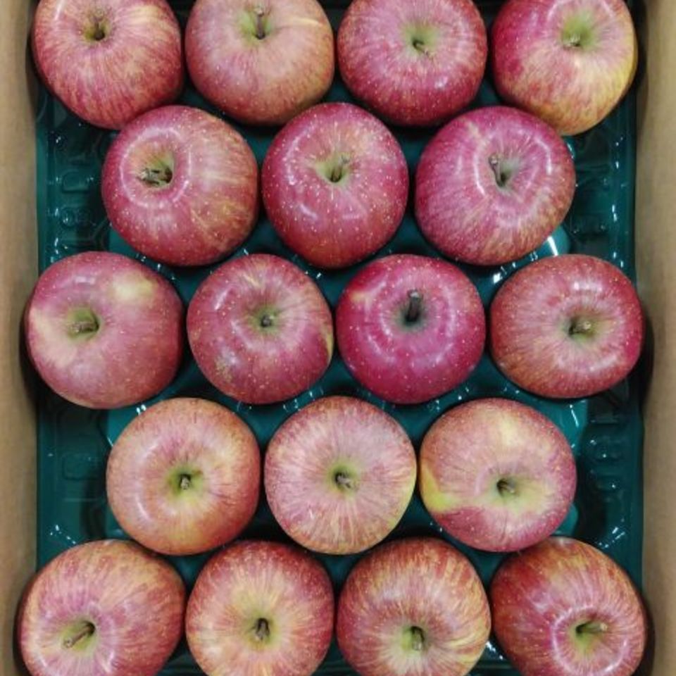 青森県産　太陽ふじ（葉とらずふじ）の画像