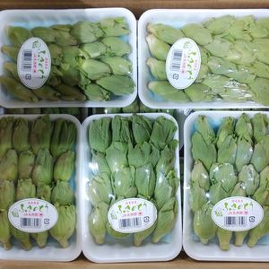 徳島県産　ふきのとうの画像