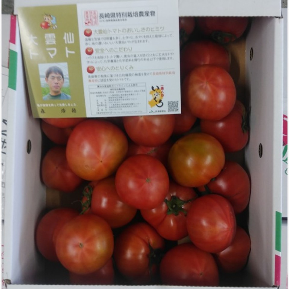 長崎県島原雲仙産 大雲仙とまと | 旬の野菜 | 旬の野菜・果物 | 野菜と